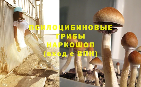 хмурый Волосово