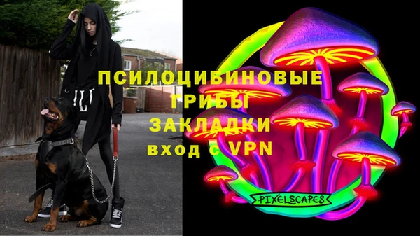 хмурый Волосово
