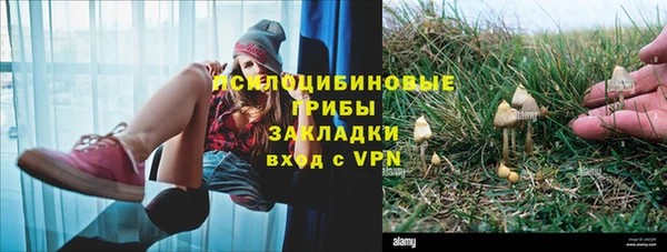хмурый Волосово