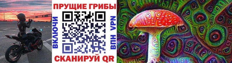 Купить где  Камышлов  Галлюциногенные грибы GOLDEN TEACHER 